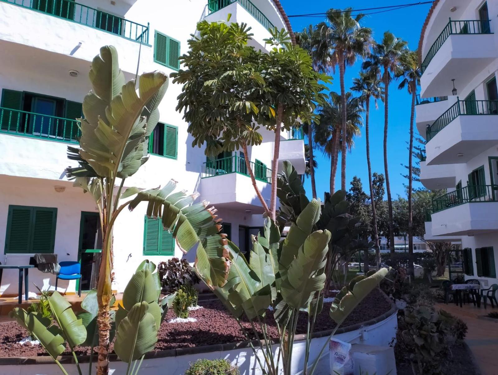 Canarian Havaii En Faluas * Playa del Ingles (Gran Canaria)